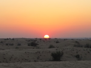 Kitukasvuista kasvillisuutta Dubain hiekka-aavikolla. © Mia Vehkaoja